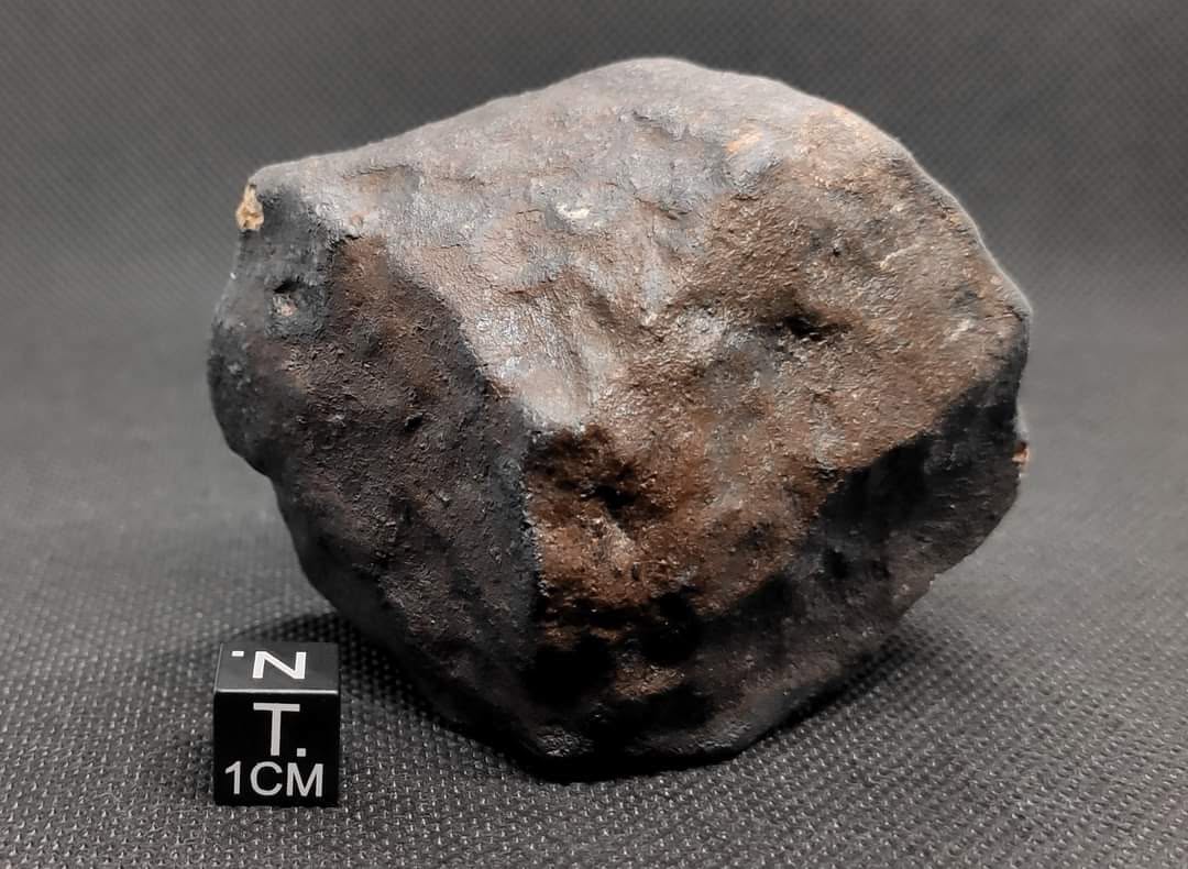 Meteorito Hammadah al Hamra 346 da coleção Emanuel Foglietto