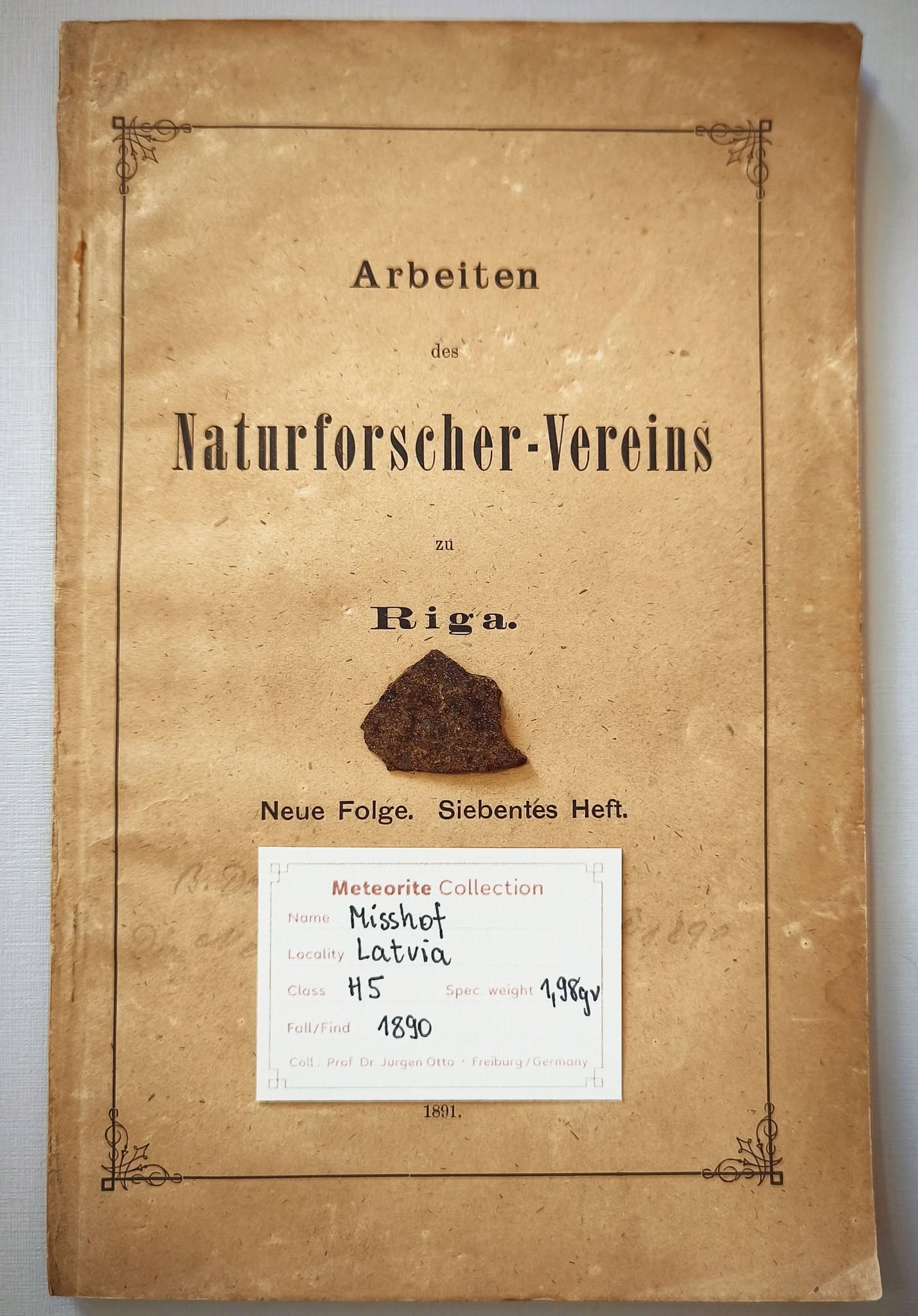 Meteorito Misshof da coleção Emanuel Foglietto