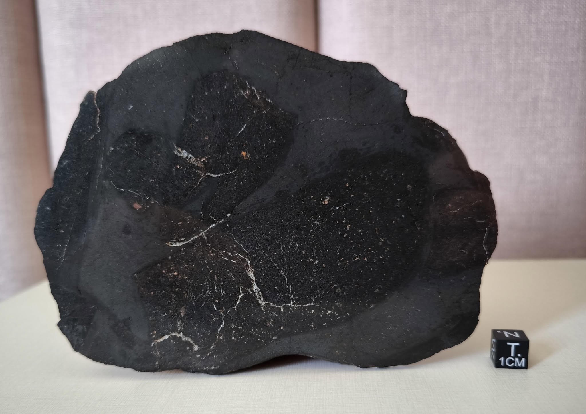 Meteorito NWA 13267 da coleção Emanuel Foglietto