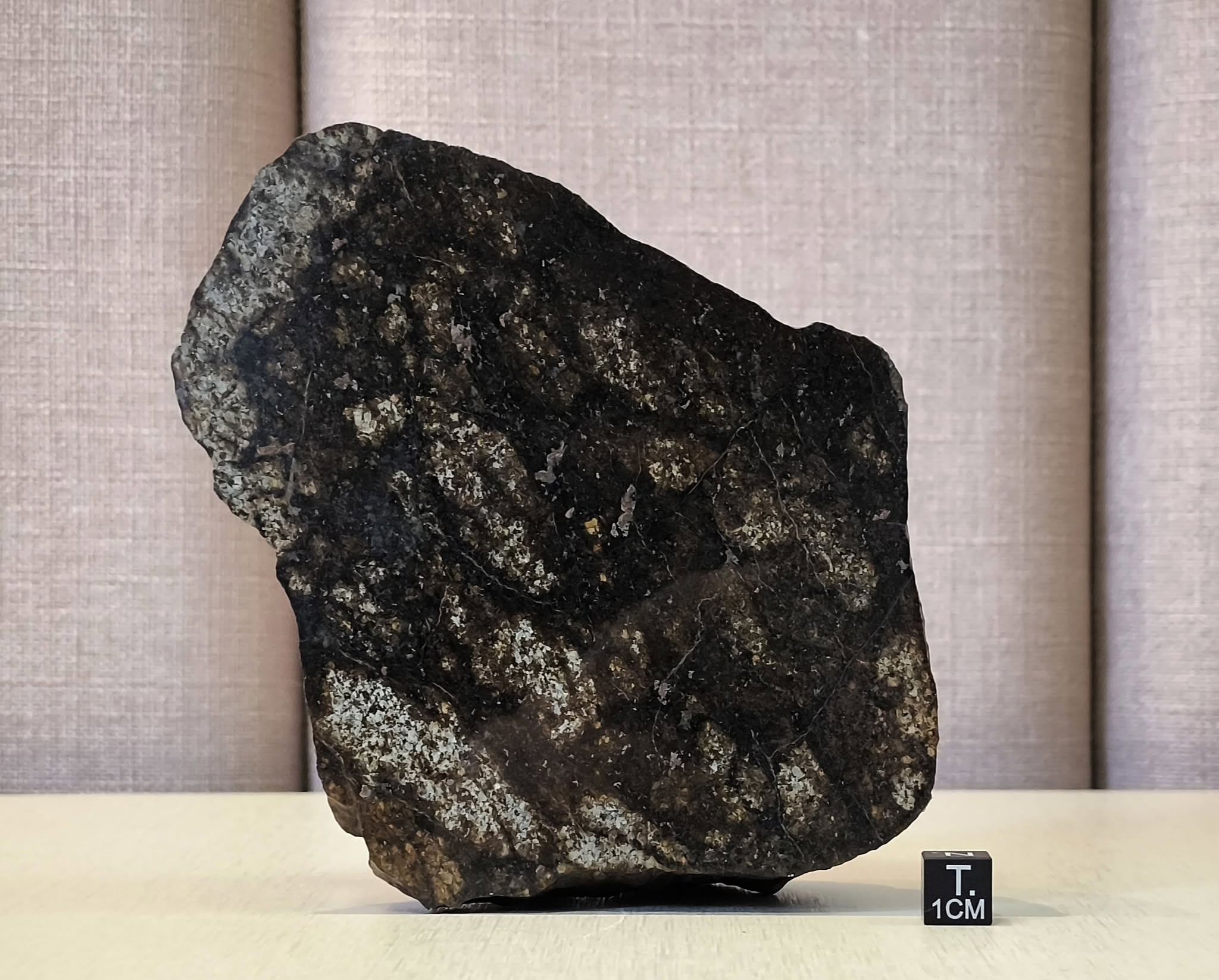 Meteorito NWA 17062 da coleção Emanuel Foglietto
