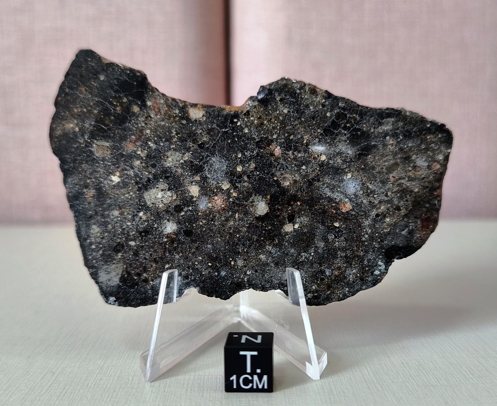 Meteorito NWA 17840 da coleção Emanuel Foglietto