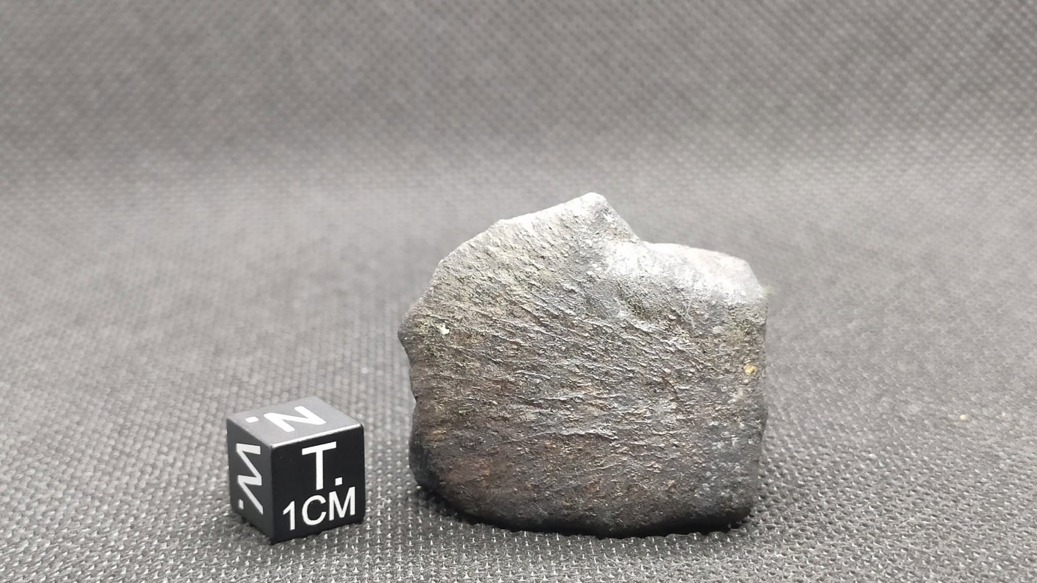 Meteorito Santa Filomena da coleção Emanuel Foglietto