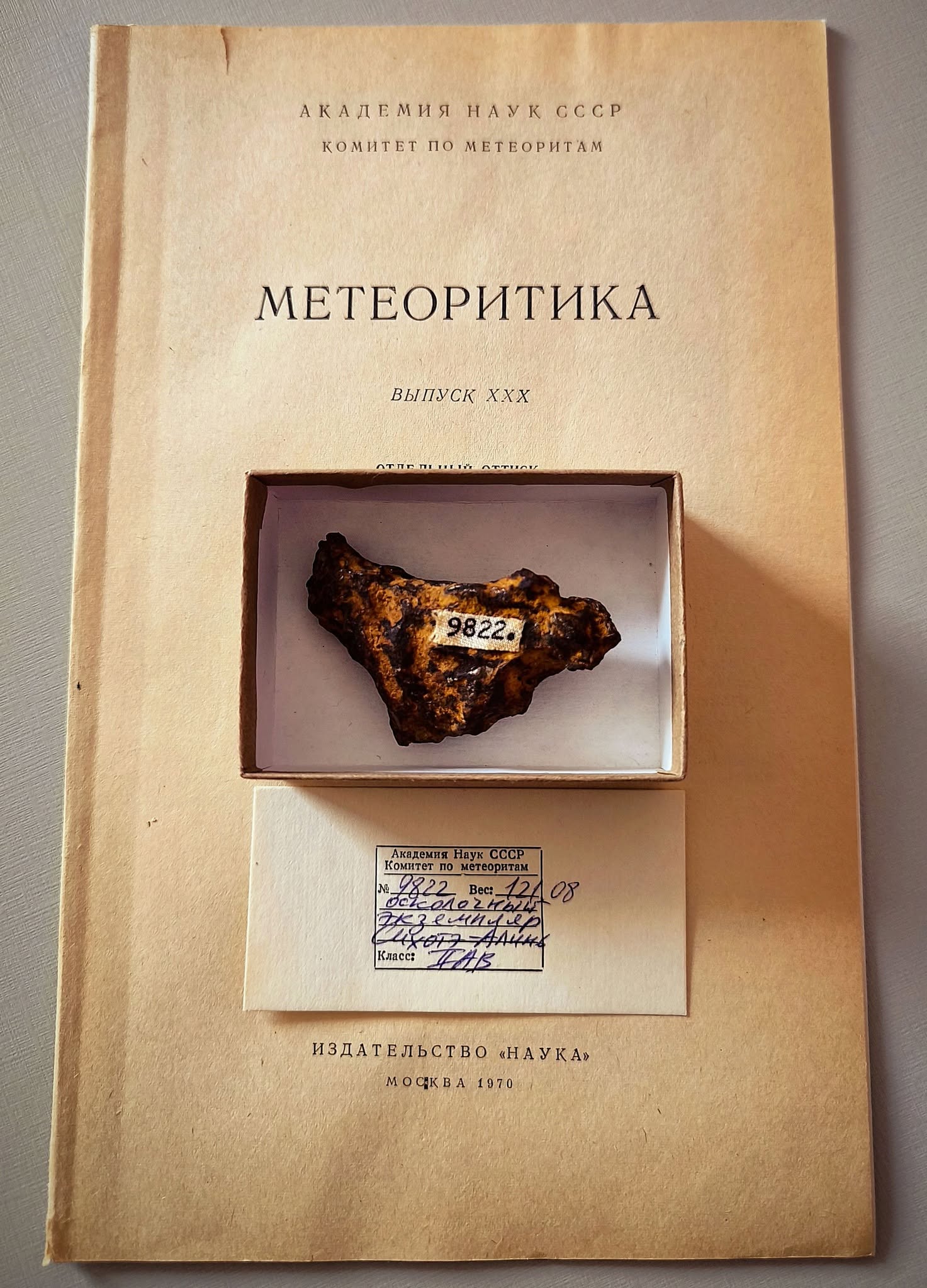 Meteorito Sikhote-Alin da coleção Emanuel Foglietto