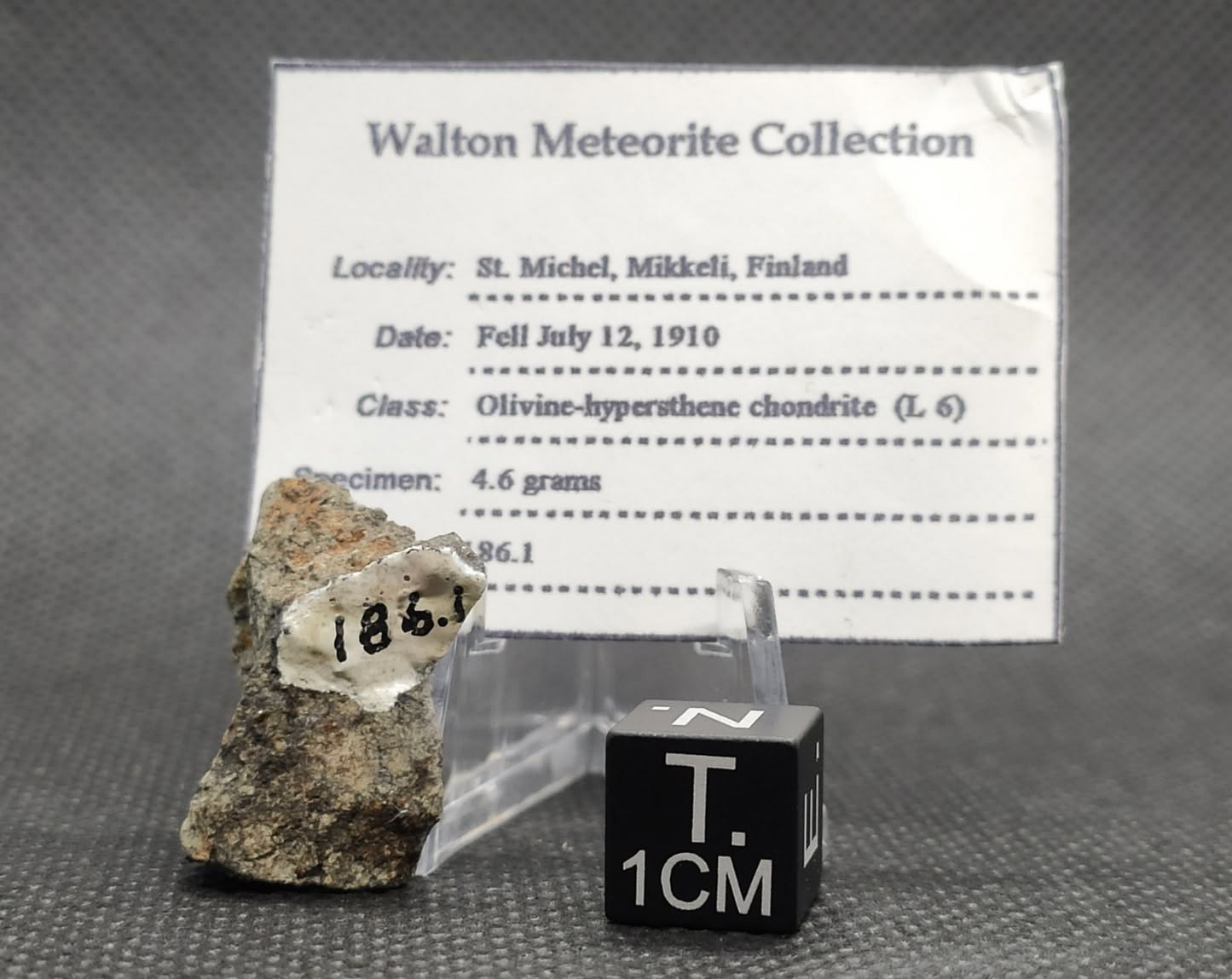 Meteorito St. Michel da coleção Emanuel Foglietto