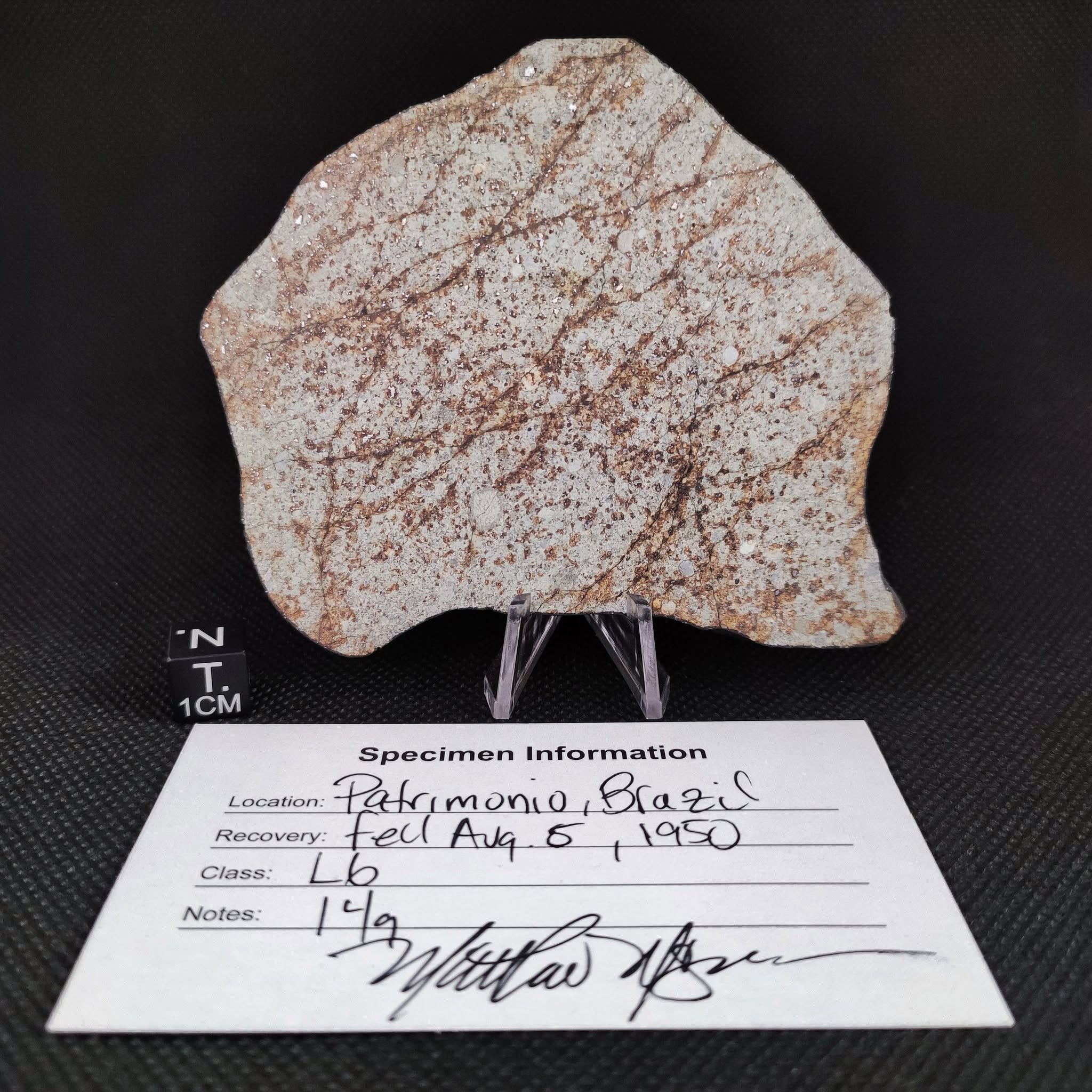 Meteorito Patrimonio da coleção Emanuel Foglietto