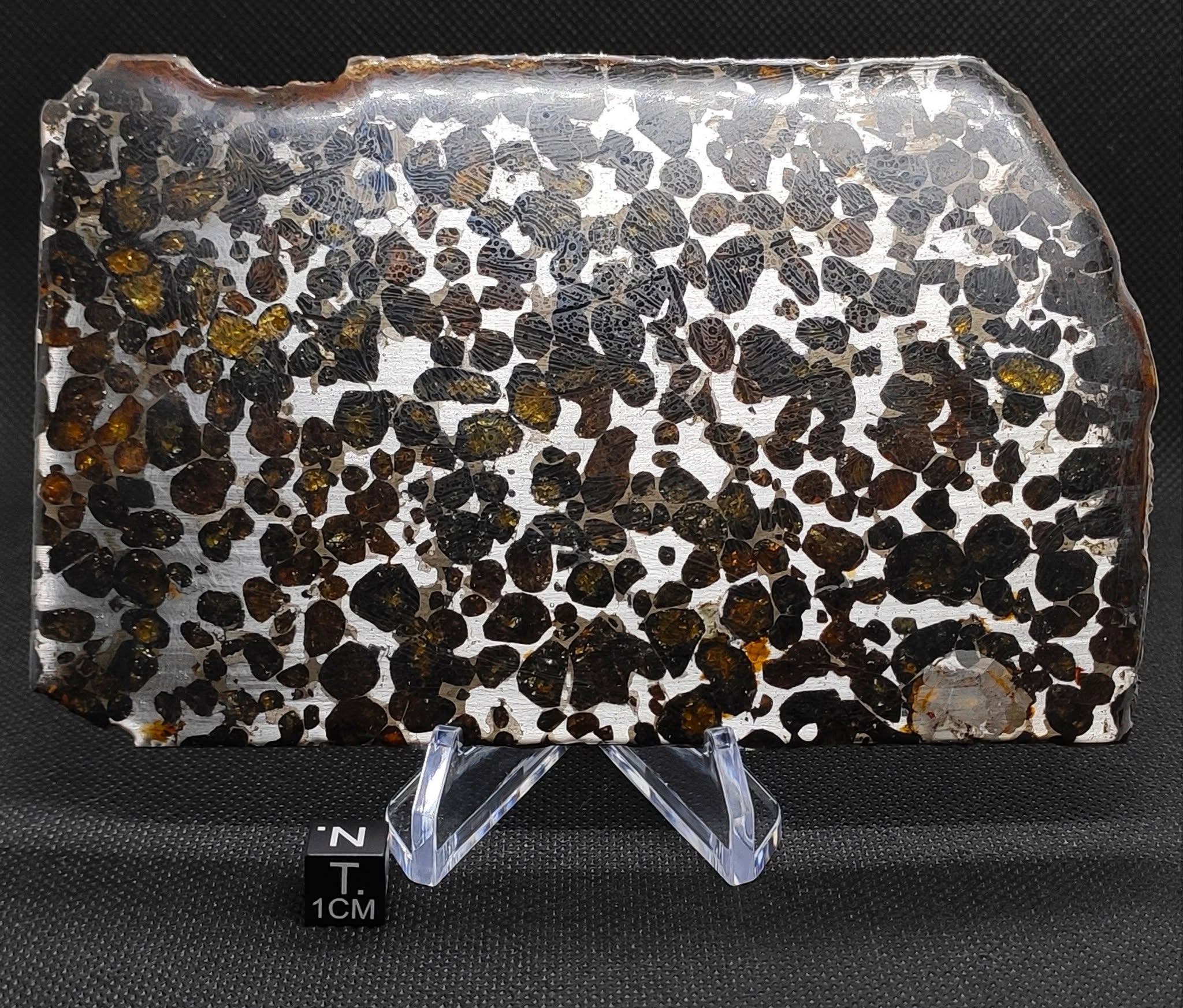Meteorito Sericho da coleção Emanuel Foglietto